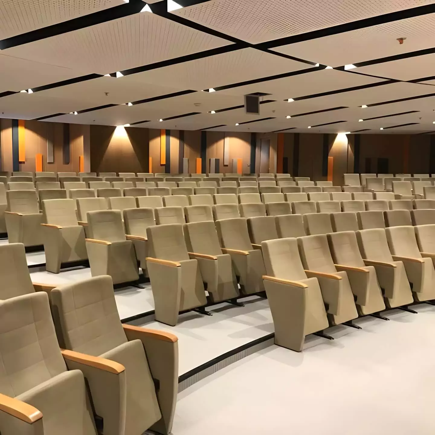 This university auditorium benefits from our durable, fire-resistant seating solutions. Image